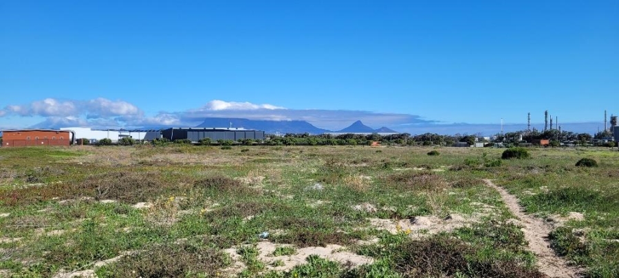 To Let commercial Property for Rent in Richmond Park Western Cape